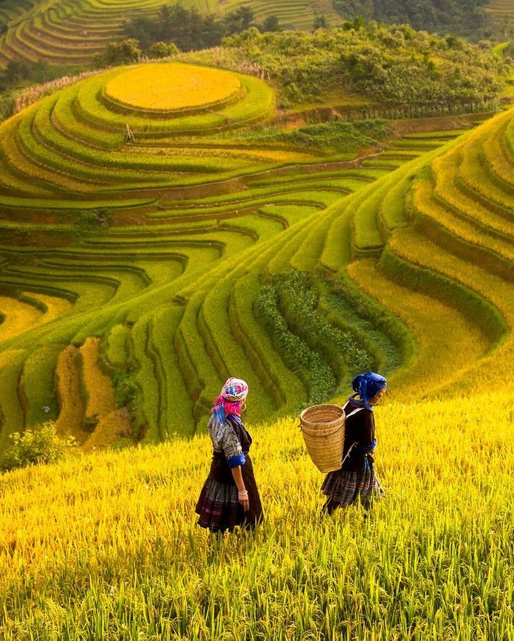 Travel Visual
