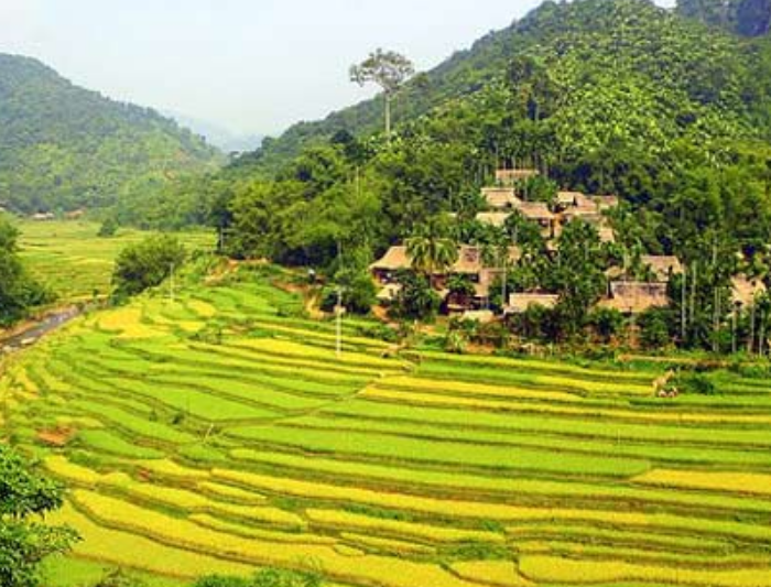 The Best Of Vietnam With Pu Luong